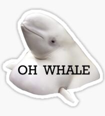 Oh Whale Sticker Sticker