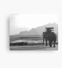 Elephant At Lake Metal Print