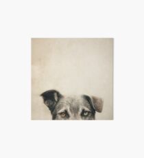 Half Dog Art Board