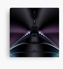 Polar Lights Canvas Print
