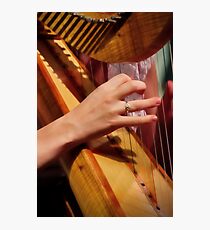 "Celtic Strings" Photographic Print
