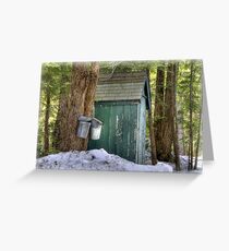 Two Taps and an Outhouse Greeting Card