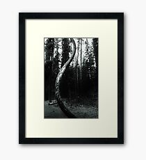 Curvature Framed Print