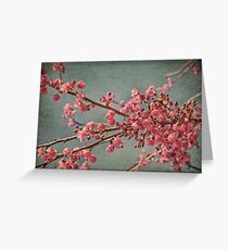Spring blossom. Greeting Card