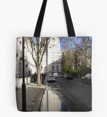 Predilection for Reflection 7 Tote Bag