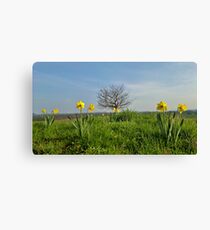Shropshire in Spring Canvas Print