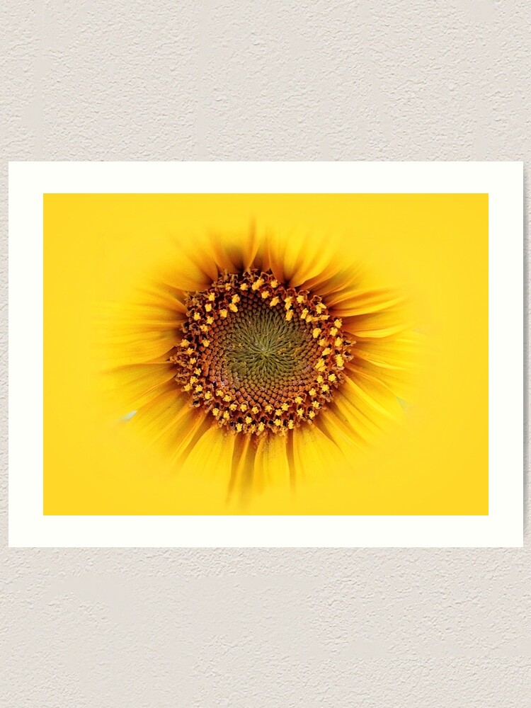 Alternate view of sunflower Art Print