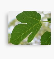 Greenery Canvas Print