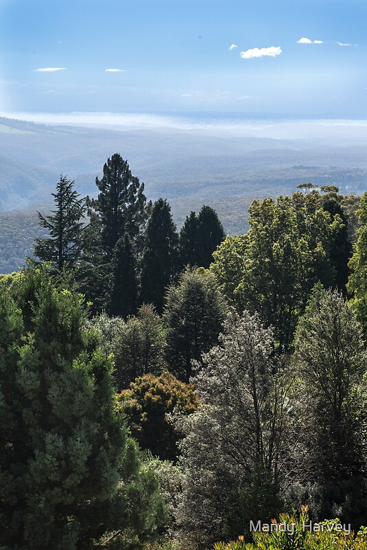 "Mount Tomah View" by Mandy Harvey Redbubble