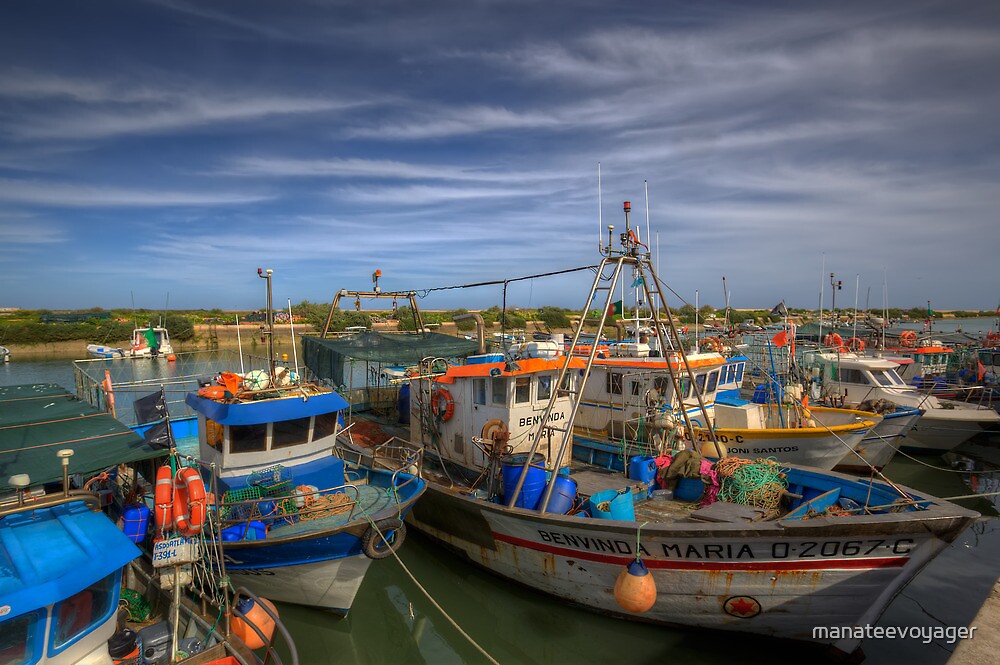 "Fishing Fleet" by manateevoyager | Redbubble