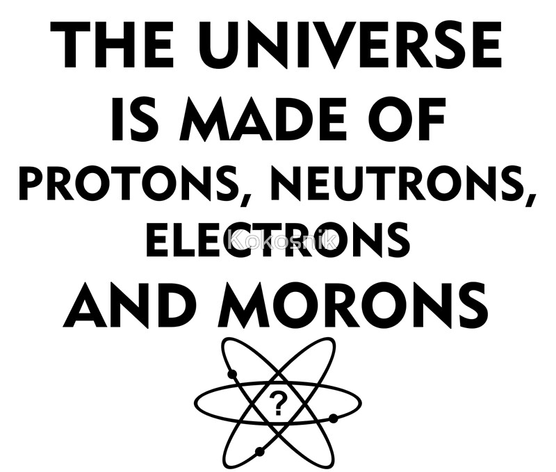 the universe is made up of protons neutrons electrons and morons