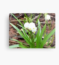 PRIMAVERA 11 Metal Print