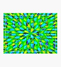 JOYOUS Photographic Print