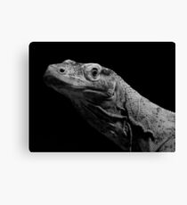 Reptile Canvas Print