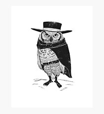 A Fistful of Feathers Photographic Print