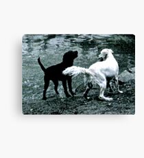 challenge Canvas Print