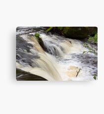 Rapid Movement Canvas Print