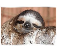 Sloth: Gifts & Merchandise | Redbubble