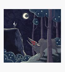 In the Woods Photographic Print