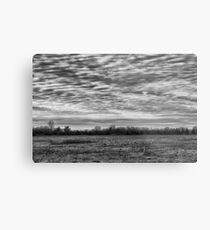 Weather System Metal Print