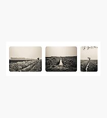 B&W Landscape Triptych Fotodruck