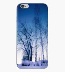 Ice iPhone Case