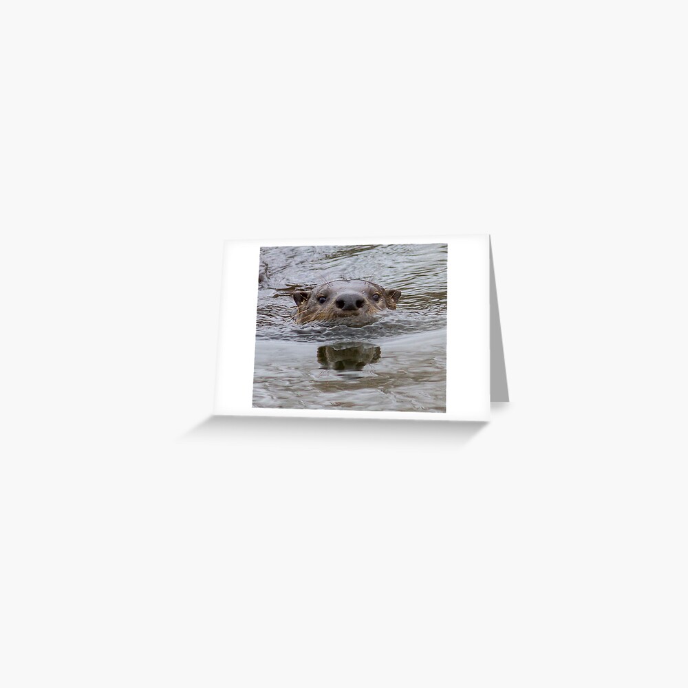Otter nose Greeting Card