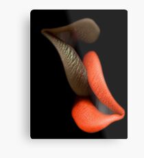 Lip To Lip Metal Print