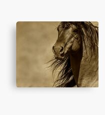 Chief Canvas Print