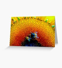Busybee Greeting Card