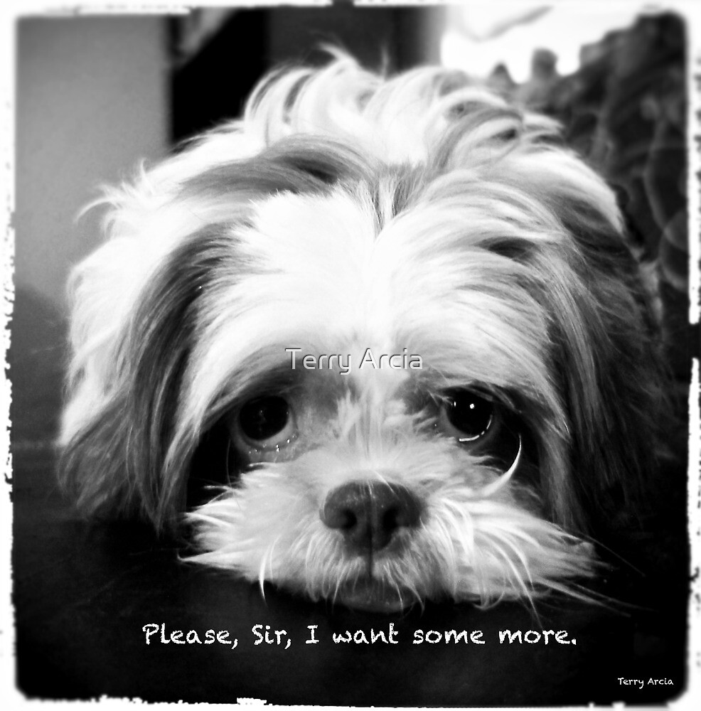 "Please, Sir, I want some more." by Terry Arcia | Redbubble