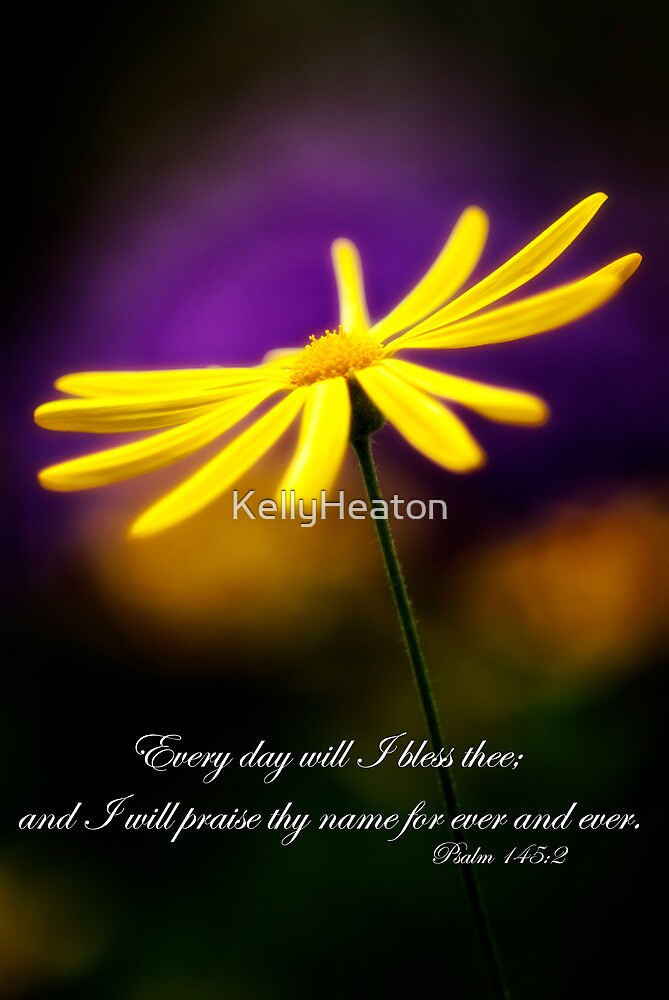 "Daisy and Bible Verse" by KellyHeaton Redbubble