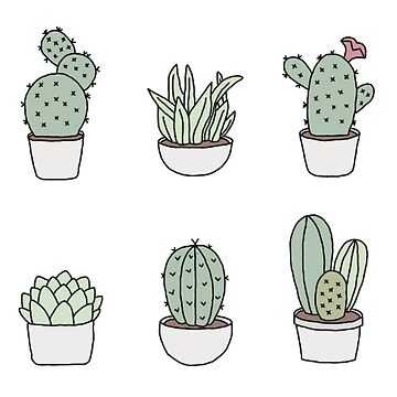 Succulents Sticker for Sale by katherineblower