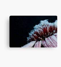 Frosty Kiss Canvas Print