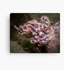Blue Ringed Octopus Metal Print