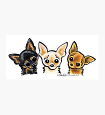 Smooth Chihuahua Trio Fotodruck