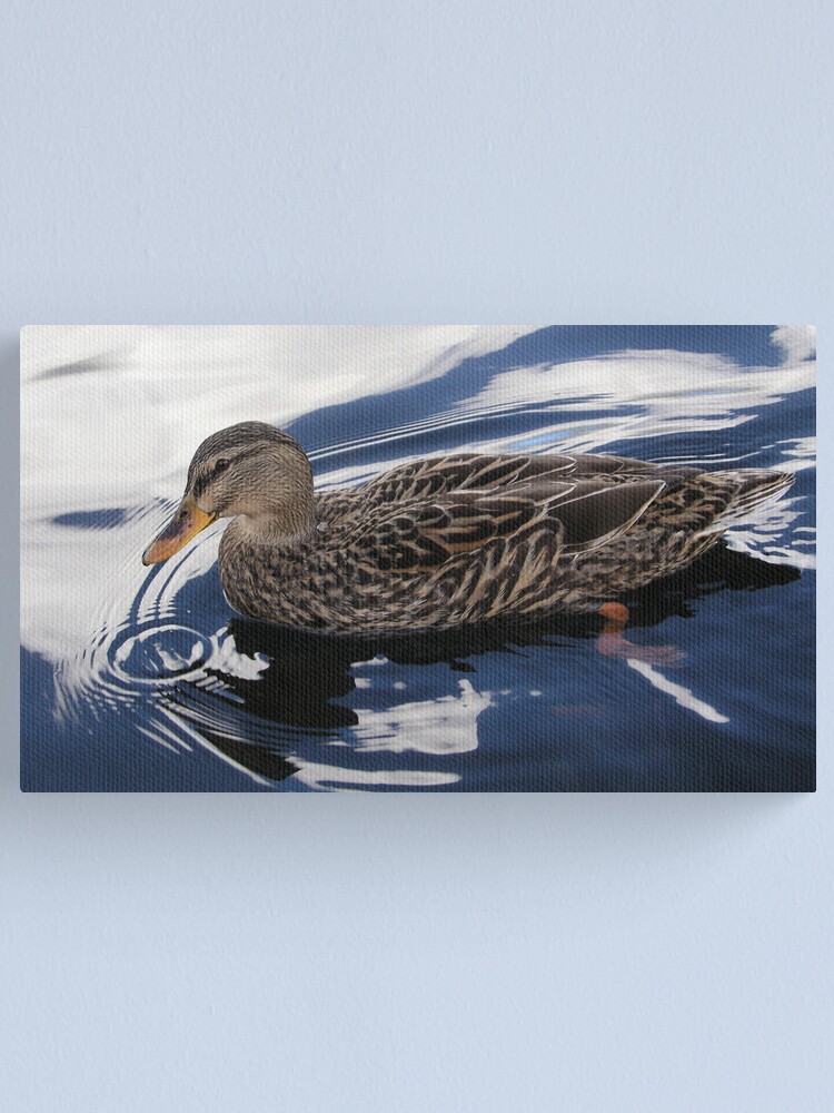 Alternate view of Duck Canvas Print