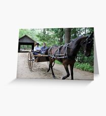 Horse and Carriage 4 Greeting Card