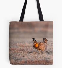 Prairie Chicken-8 Tote Bag