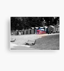 They are a rather drab lot around here, are they not ? Canvas Print