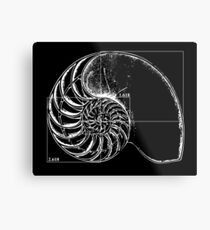 Fibonacci on a nautilus shell Metal Print