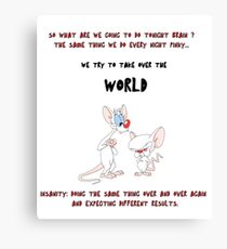 pinky and the brain insanity Canvas Print