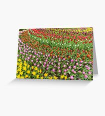 Circular Array of Abundant Tulip Colors Greeting Card