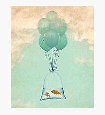 flight to freedom Photographic Print