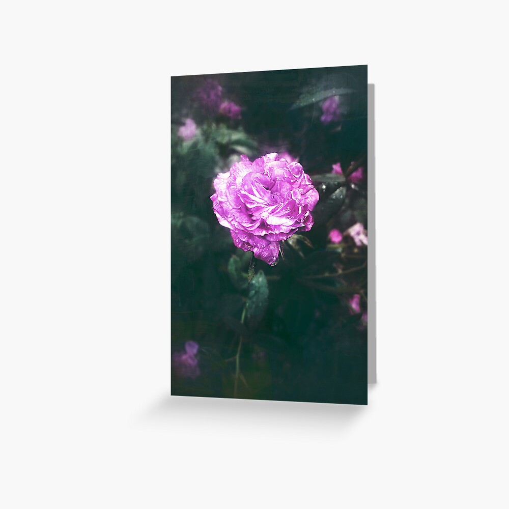 Mystic Rose Greeting Card