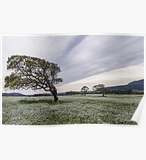 Tree bent by the force of light Poster