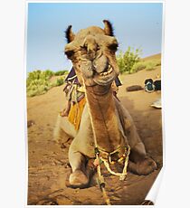 camel subliminal advertising