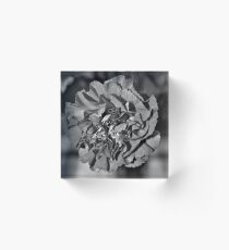 monocrome Acrylic Block