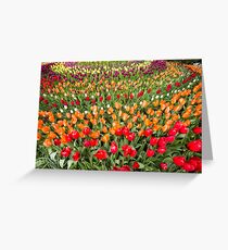 Rainbow of Tulips Greeting Card