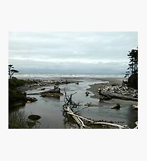 Kalaloch Photographic Print